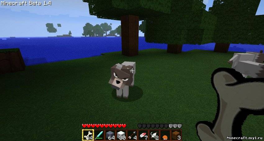 Minecraft 1.9 PreRealse 5